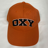 HAT OXY GHOSTED TIGERS