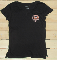 Ladies  Left Chest Logo Alumni  V-Tee