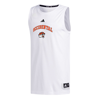 JERSEY BASKETBALL ATH TIGER BACK TIGERS