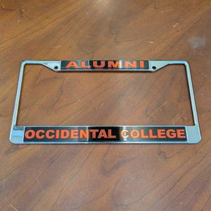 Licence Frame Metallic